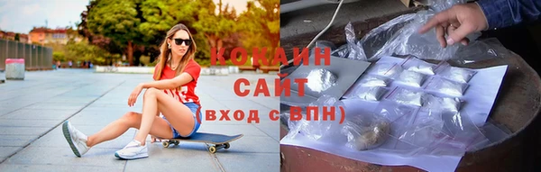 ешки Богданович