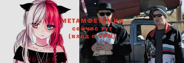 прущие грибы Богородск