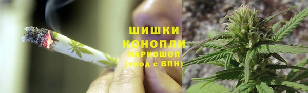 прущие грибы Богородск