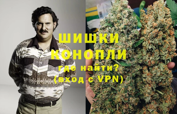 прущие грибы Богородск