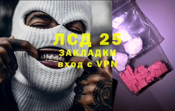 прущие грибы Богородск