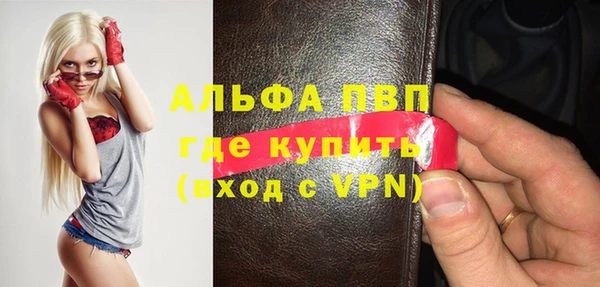 ешки Богданович