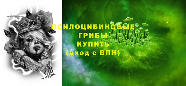 прущие грибы Богородск