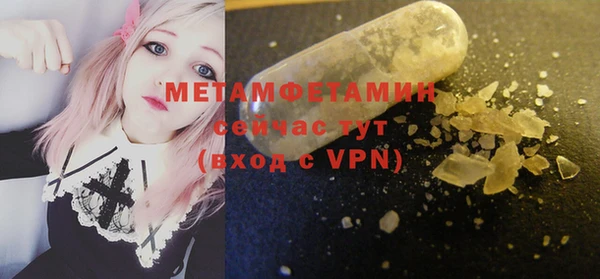 прущие грибы Богородск
