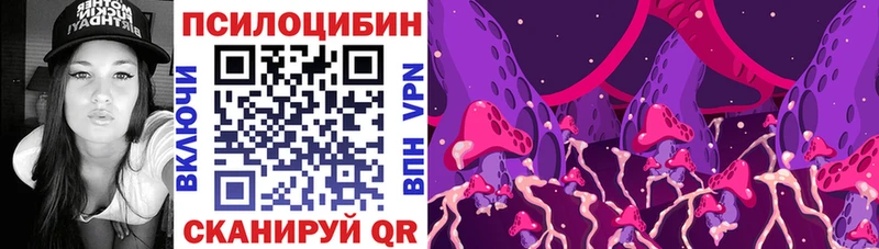 где купить   Ейск  Псилоцибиновые грибы Psilocybe 